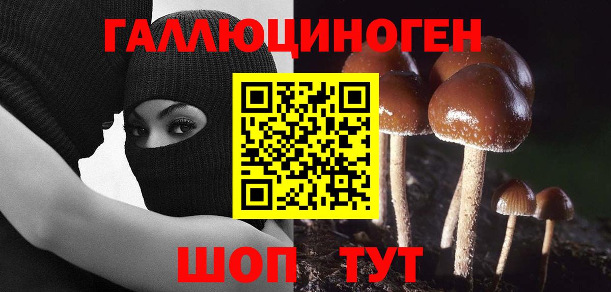 Галлюциногенные грибы GOLDEN TEACHER  купить наркотики сайты  Назарово  Вход с VPN 